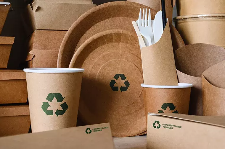 Biodegradable Containers for Food on the Go