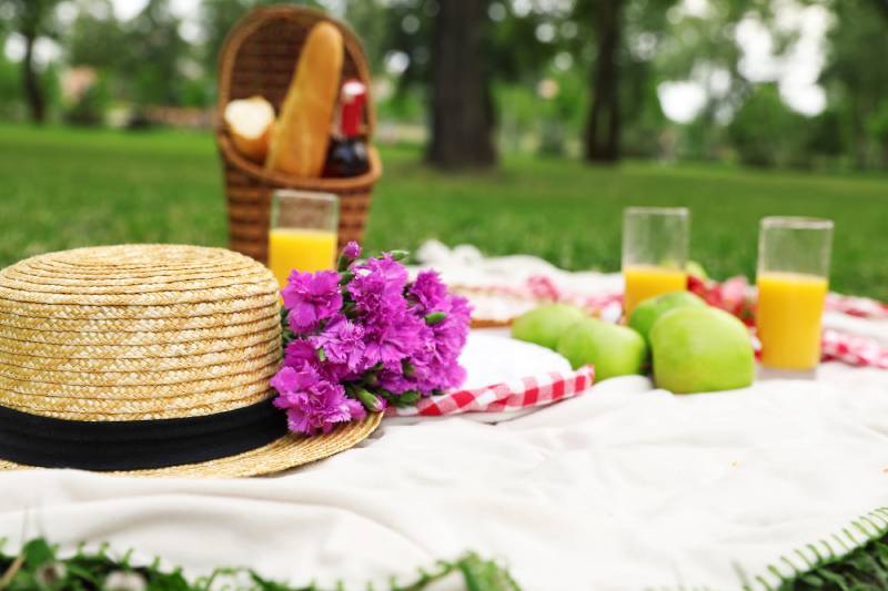 picnic food on the grass