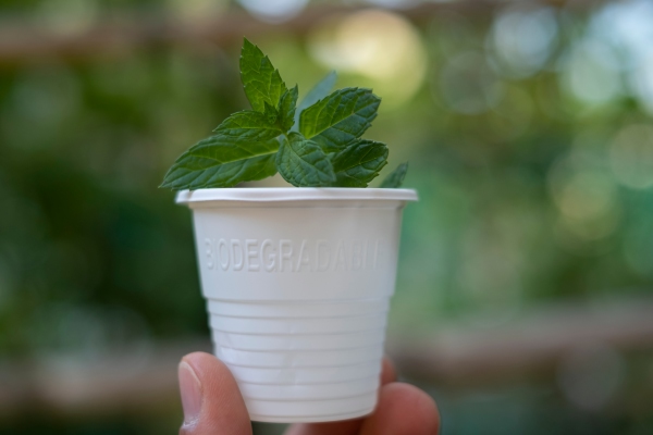 Compostable Plastic Cup