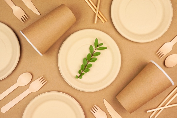 Eco friendly disposable paper dishware for takeout Reducing Plastic Waste with Compostable Packaging Solutions