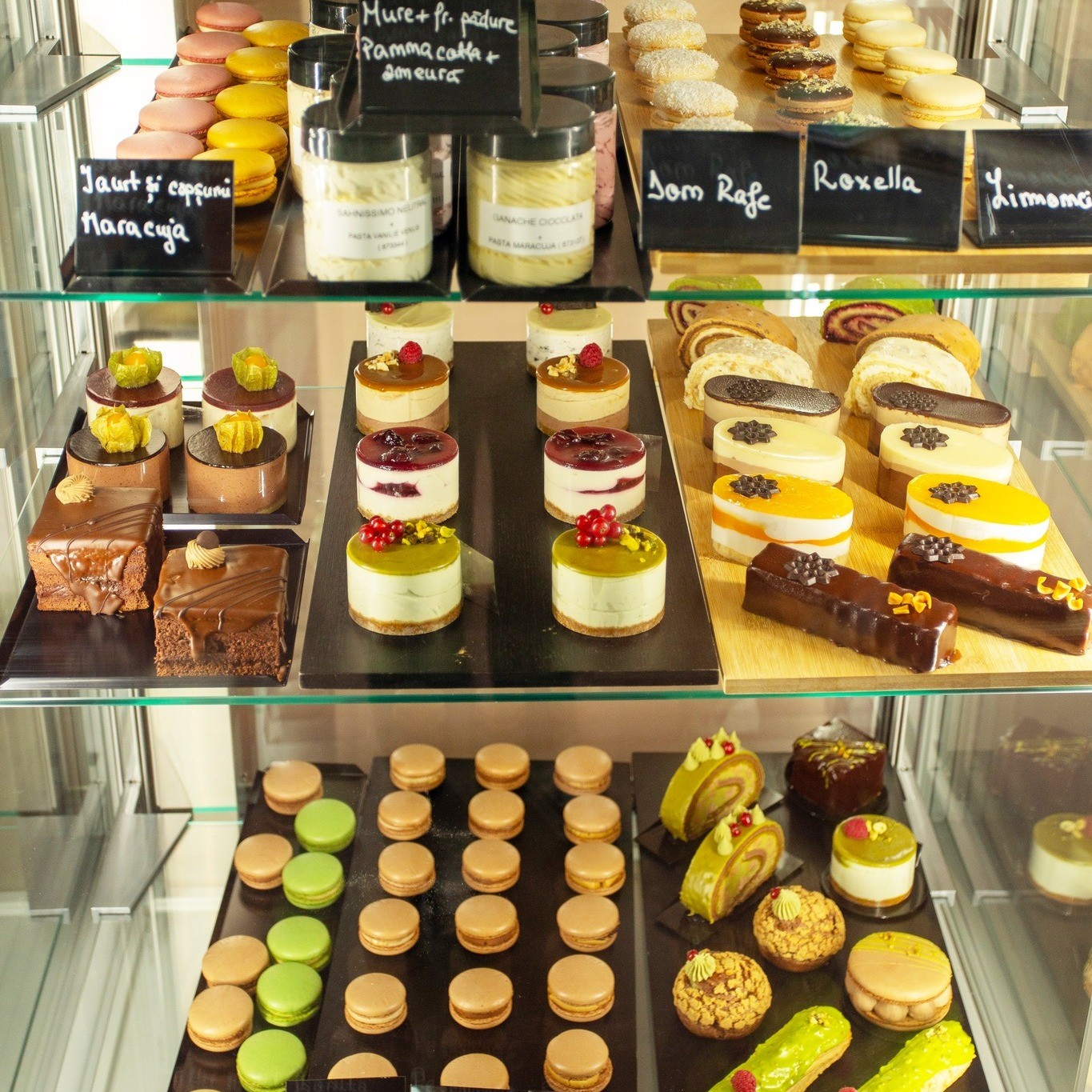 Our Plans for the Year Ahead