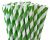 Green & White Paper Straws