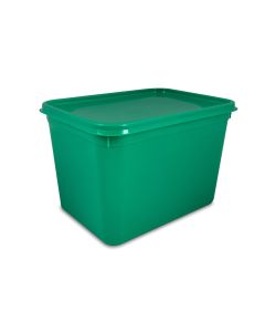 4 litre green rectangular ice cream or food container