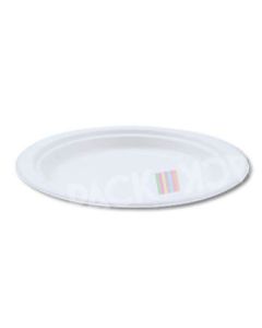 Disposable 10&quot; White Bagasse Plates 